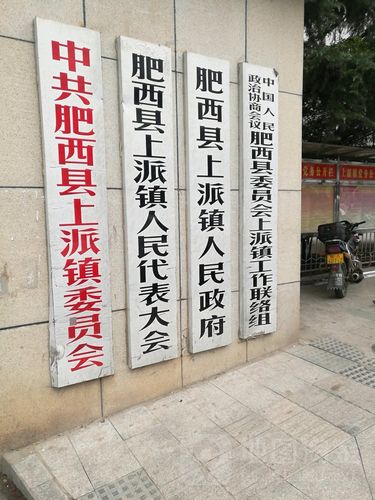 安徽上派疫情，安徽上派镇