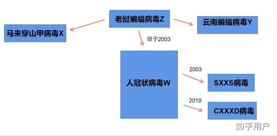 安徽疫情武汉-武汉对安徽疫情-第4张图片