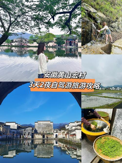 【安徽黄山疫情旅游,黄山旅游 疫情】-第7张图片