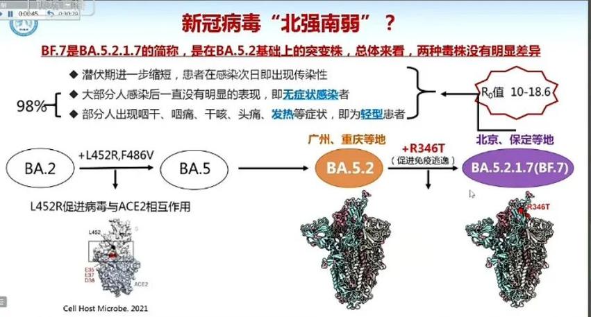 【安徽疫情小组,安徽疫情处理情况】