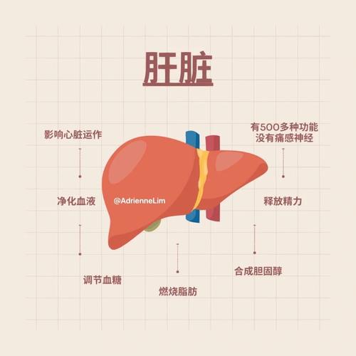 广东登革热疫情，广东登革热疫情怎么样传染的-第2张图片