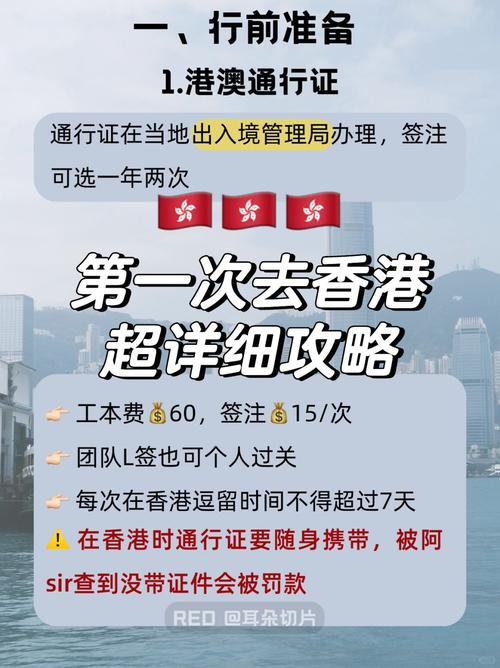 澳门看疫情，澳门疫情最新情况今日新增-第5张图片