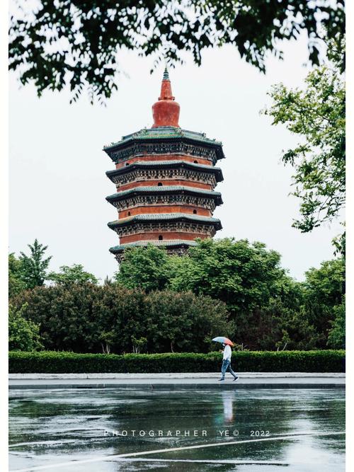 【安阳疫情故事,安阳一例患者】-第2张图片