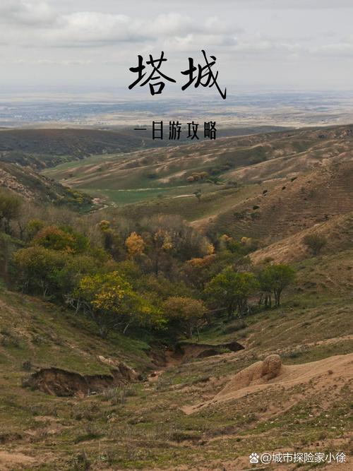 塔城地区疫情/塔城地区疫情情况-第2张图片 塔城地区疫情/塔城地区疫情情况-第2张图片