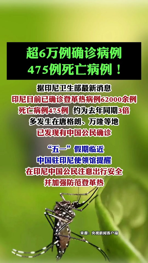 【巴士司机疫情,疫情大巴司机】-第3张图片
