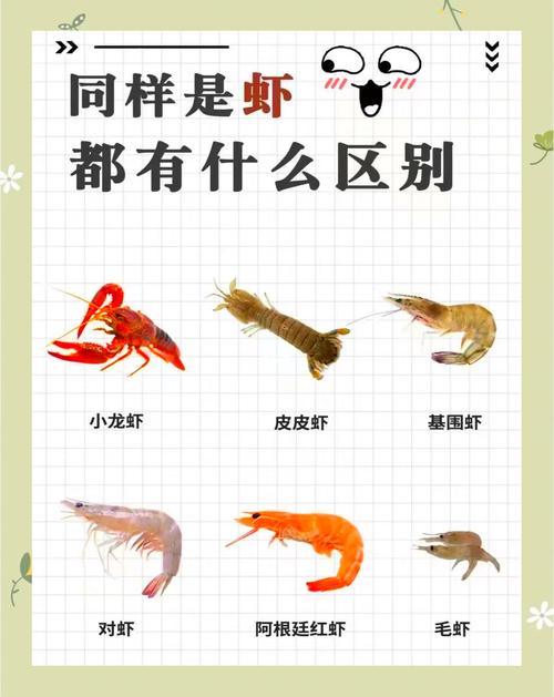 安康疫情虾-安康役情最近如何-第2张图片