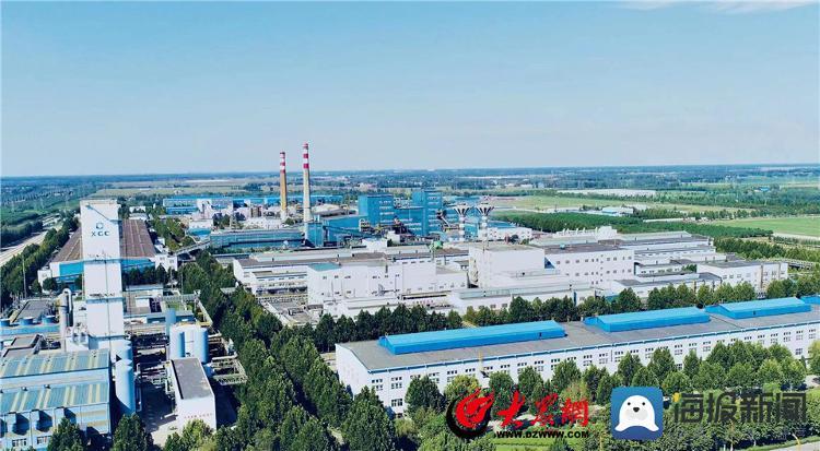 阳谷最新疫情(阳谷疫情最新通告)-第5张图片