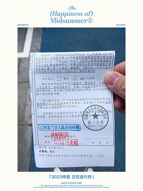 成都限行电子眼/成都限行电子眼位置-第5张图片