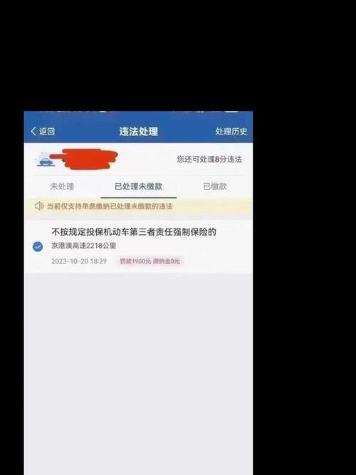 【限行电子眼,深圳限行电子眼】-第4张图片