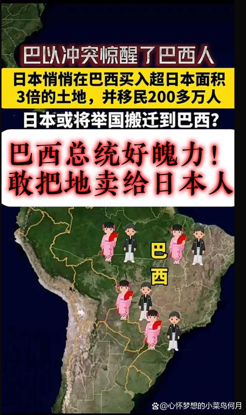 巴西疫情蔓延/巴西疫情持续-第3张图片 巴西疫情蔓延/巴西疫情持续-第3张图片