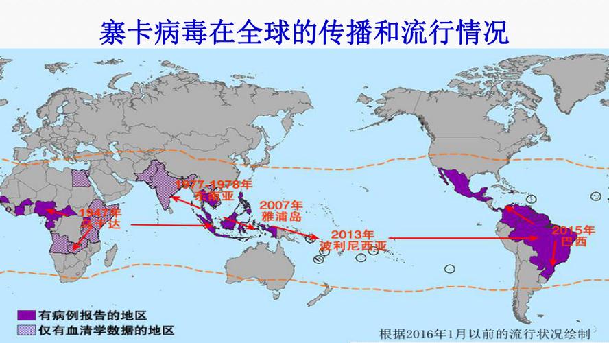 【巴拉圭疫情,巴拉圭新冠肺炎疫情】-第4张图片