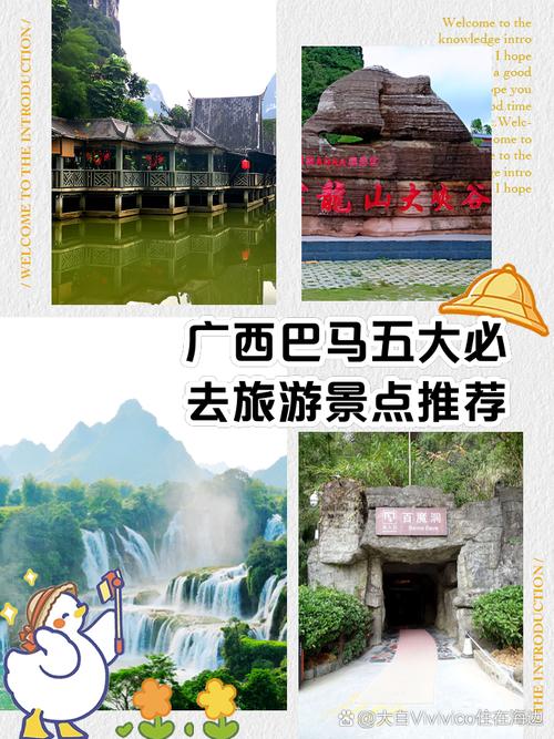巴马肺炎疫情/巴马疫情防控-第1张图片 巴马肺炎疫情/巴马疫情防控-第1张图片