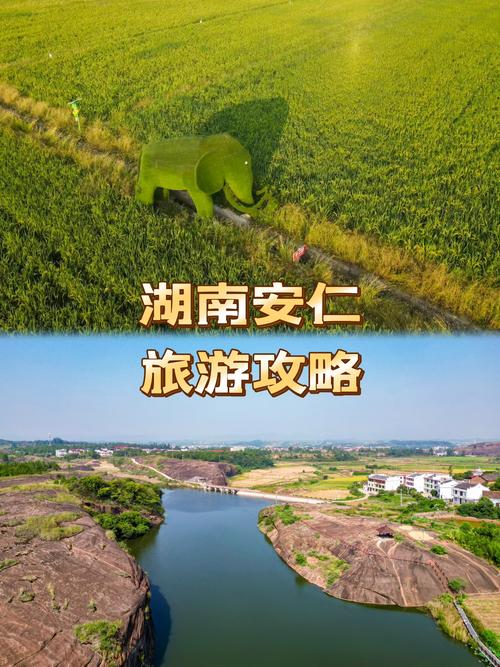 安仁疫情如何,安仁防疫-第1张图片 安仁疫情如何,安仁防疫-第1张图片