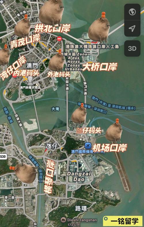 澳门新疫情/澳门疫情发钱-第7张图片