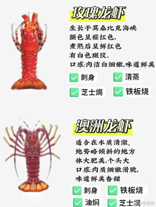 澳洲龙虾疫情/澳洲龙虾因为国内疫情降价-第1张图片