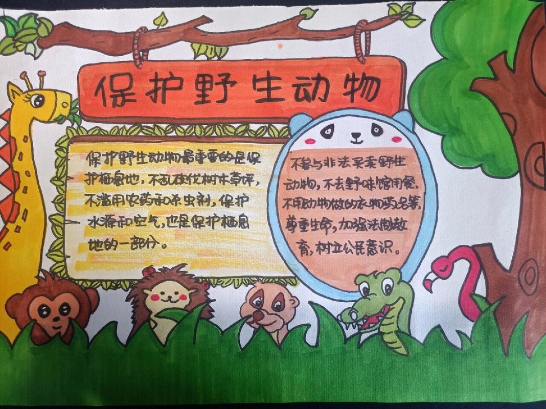 澳洲龙虾疫情/澳洲龙虾因为国内疫情降价-第3张图片