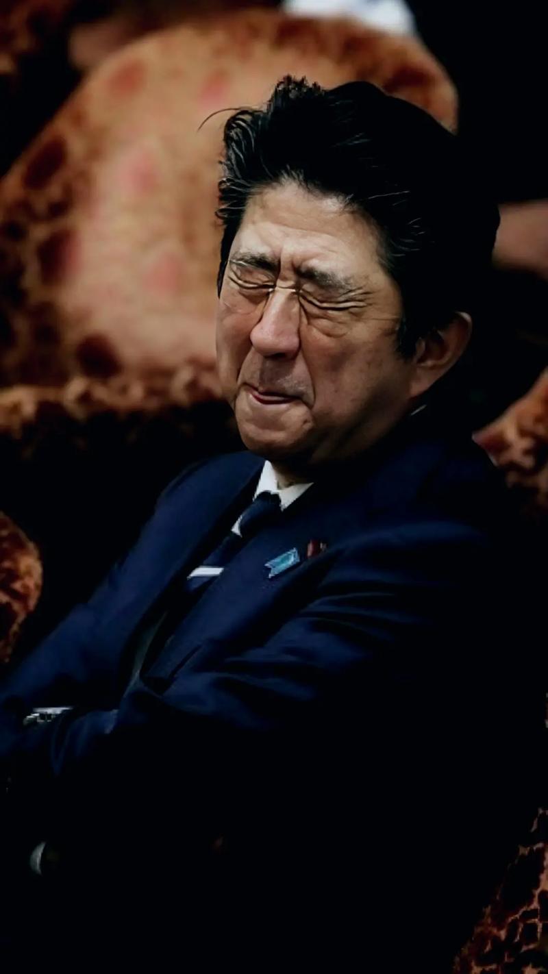 【安培说疫情,安倍晋三新冠】-第8张图片 【安培说疫情,安倍晋三新冠】-第8张图片