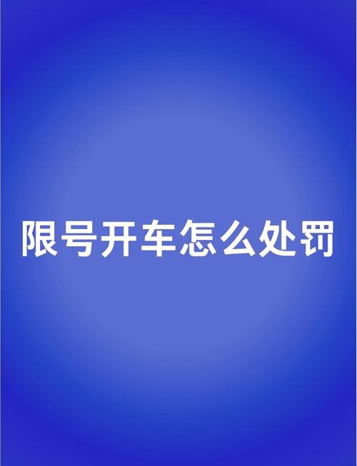限行违规如何处罚/限行车违章处罚规定-第2张图片 限行违规如何处罚/限行车违章处罚规定-第2张图片