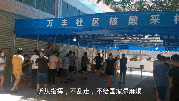 【安阳11疫情,安阳疫情趋势】-第5张图片