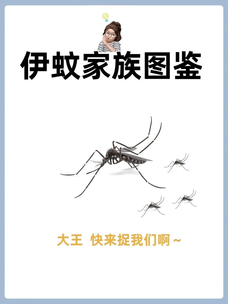 安哥拉有疫情，安哥拉疫情回国-第3张图片