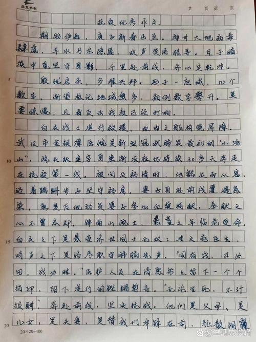 疫情的作文/关于新冠疫情的作文-第4张图片