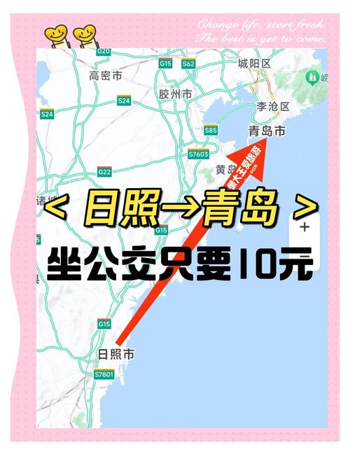 日照限行公告-日照限行规定2021年通知-第6张图片
