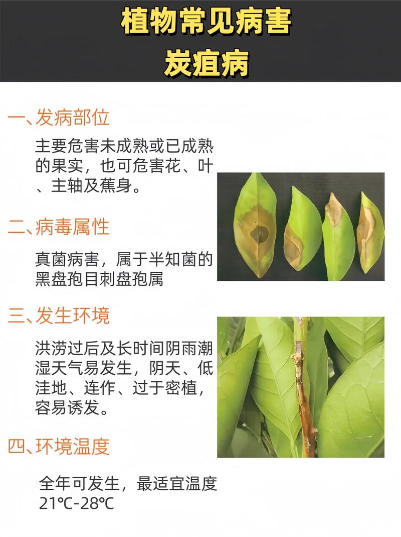 鞍山岫岩疫情-鞍山岫岩有冠状病毒吗-第7张图片 鞍山岫岩疫情-鞍山岫岩有冠状病毒吗-第7张图片