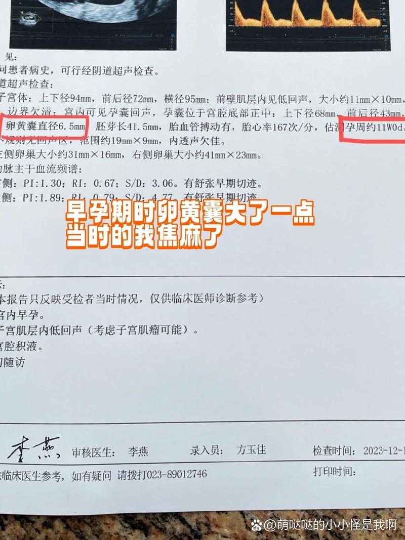 安徽宣州疫情，安徽宣城疫情-第3张图片