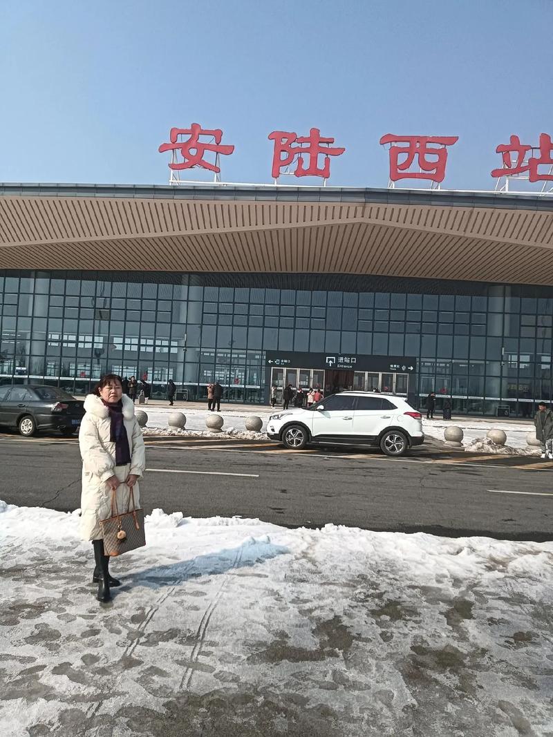 安陆疫情公安/安陆市疫情防控-第3张图片