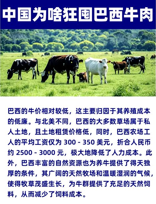 【巴西疫情牛肉,最新巴西疫情对牛肉出口影响】-第1张图片