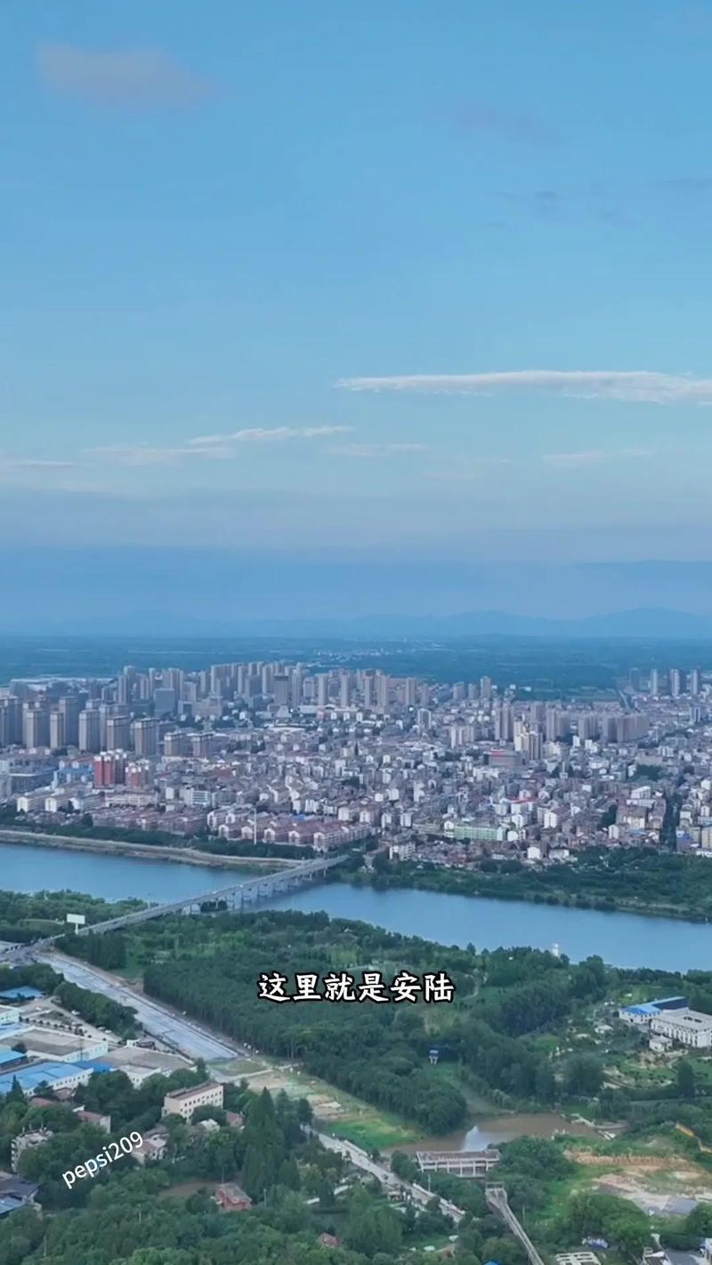 安陆疫情情况(安陆疫情数据)-第5张图片