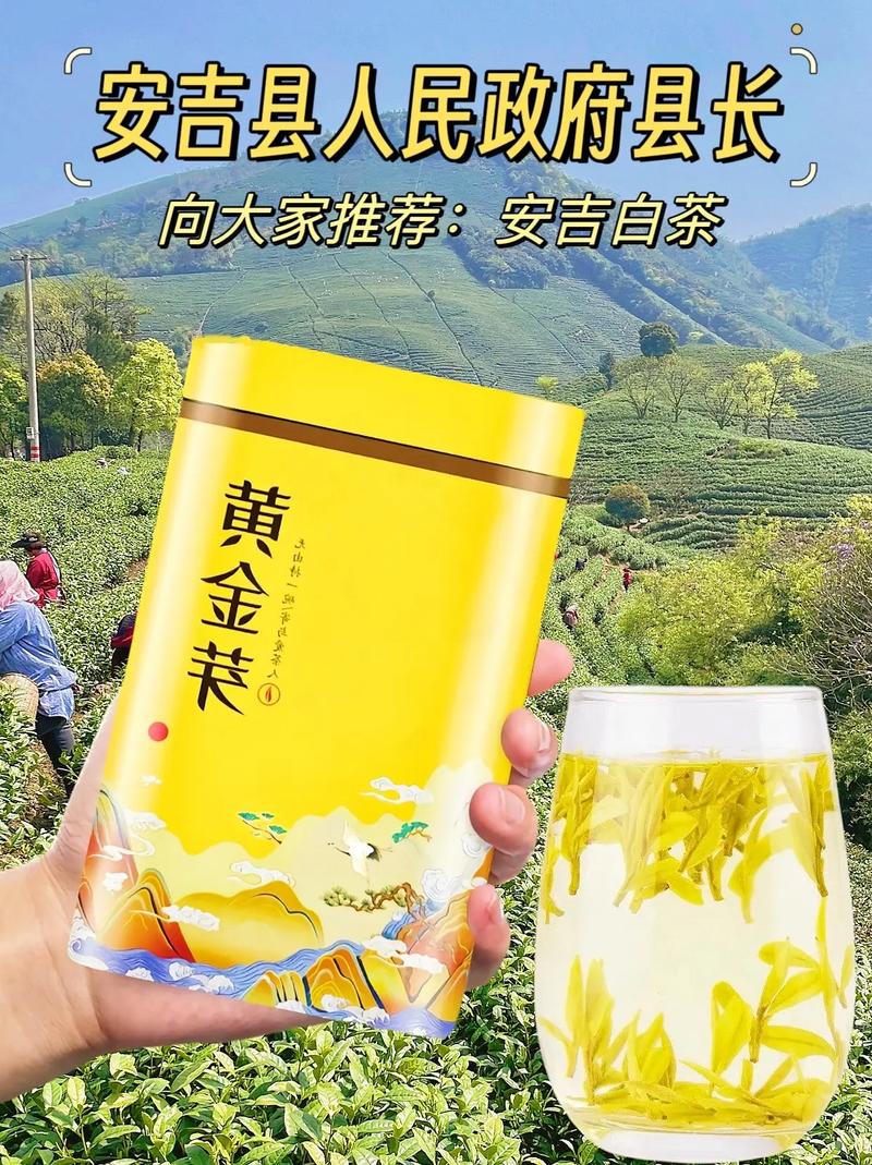 安吉疫情等级-浙江安吉疫情等级-第4张图片