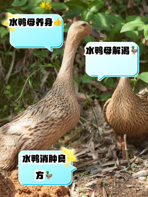 安庆疫情小区，安庆疫情怎么样-第5张图片