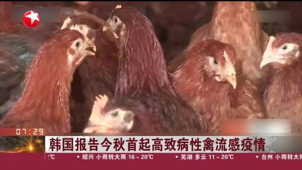 澳韩国疫情(韩国疫情消息)-第3张图片 澳韩国疫情(韩国疫情消息)-第3张图片