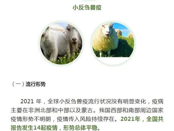 安徽疫情60-安徽疫情实时最新消息今天-第3张图片 安徽疫情60-安徽疫情实时最新消息今天-第3张图片