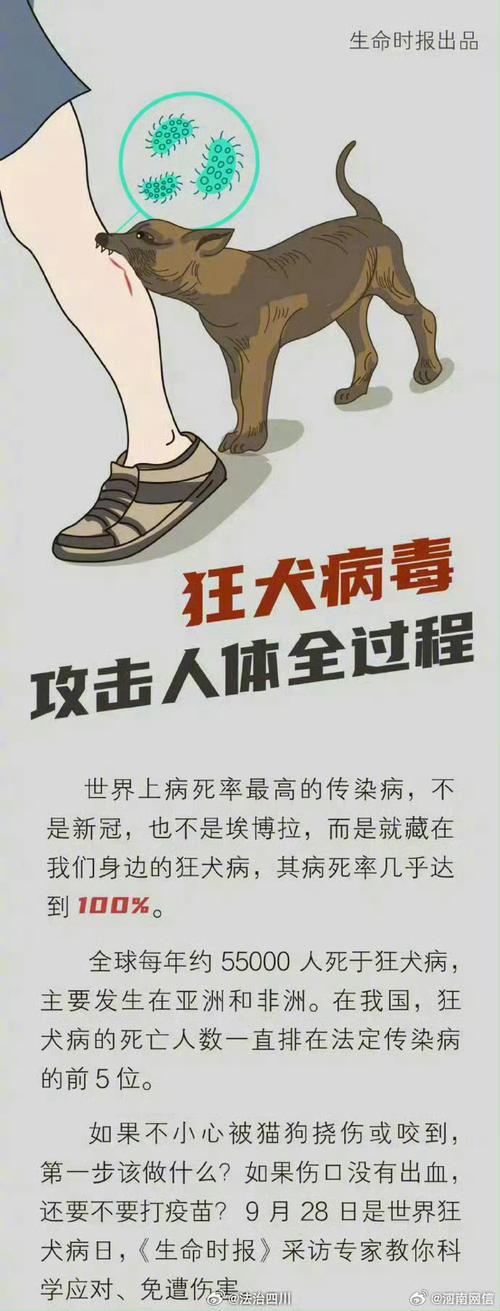 【安徽来安疫情,来安县新冠状肺炎情况】-第3张图片