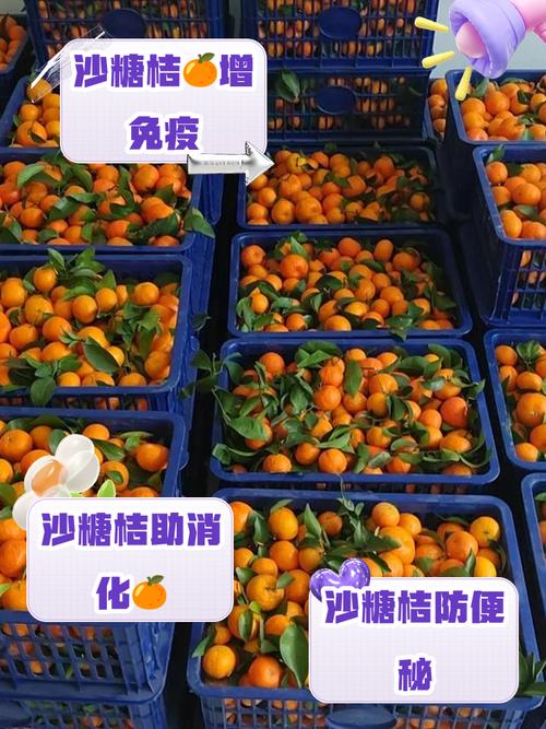 巴西甘蔗疫情/巴西甘蔗种植情况-第1张图片