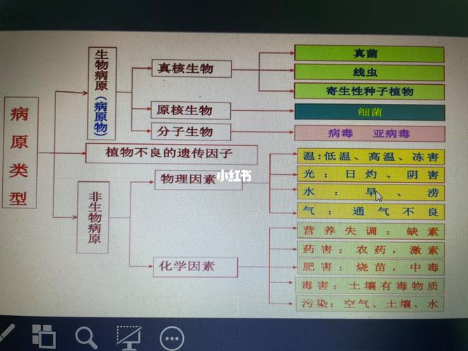 巴西甘蔗疫情/巴西甘蔗种植情况-第3张图片
