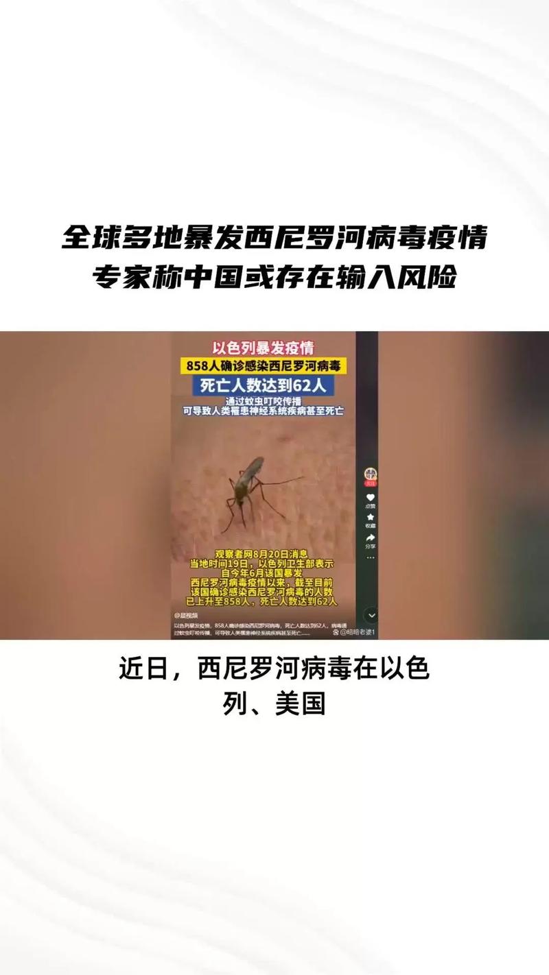 巴西疫情死亡，巴西疫情死亡人数最新消息-第2张图片