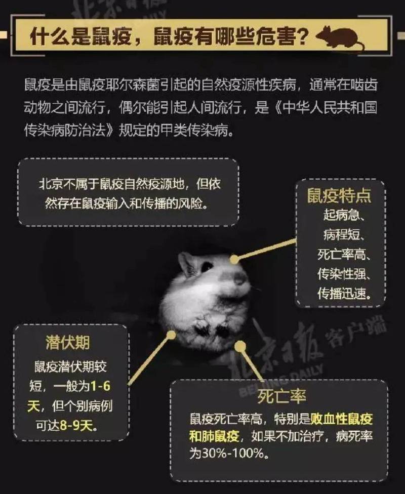 巴斯德疫情-巴斯德是哪个国家-第5张图片 巴斯德疫情-巴斯德是哪个国家-第5张图片