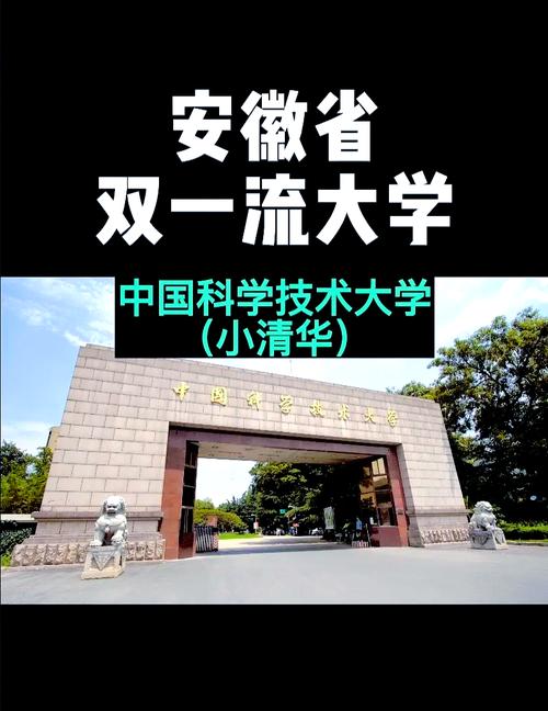 安医大与疫情/安医大与安医大临床医学院是一所学校吗-第6张图片