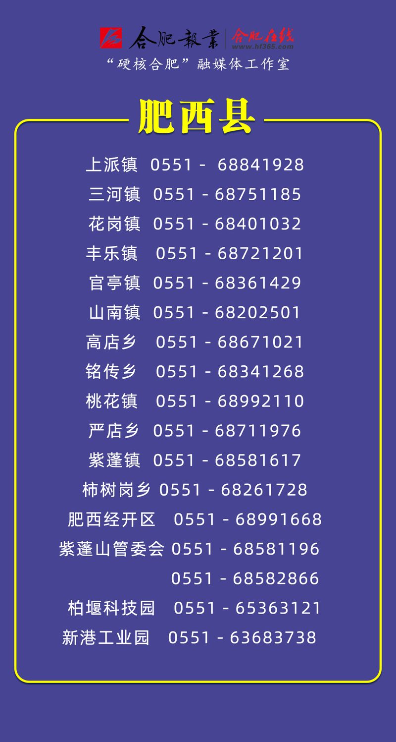 安徽肥东疫情(安徽肥东疫情官方消息)