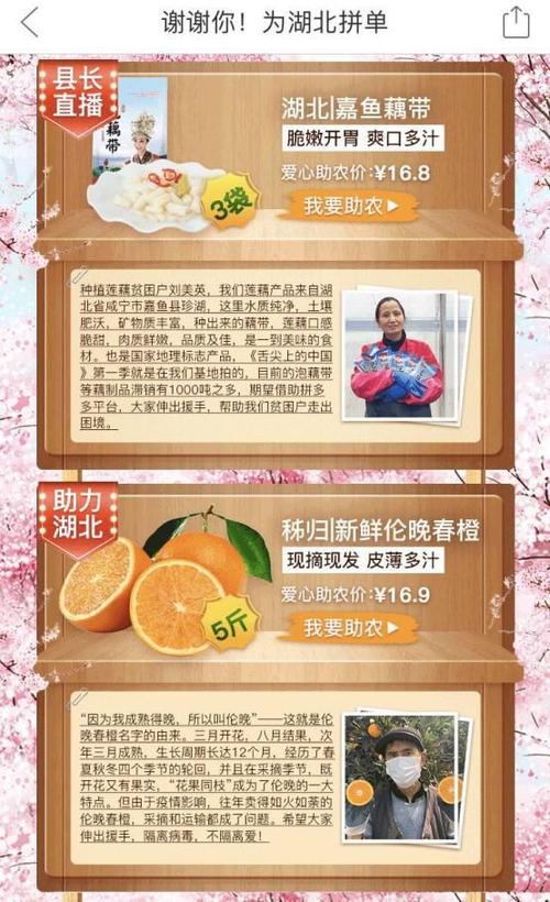 【安徽疫情助农,安徽助农餐饮管理有限公司】-第2张图片