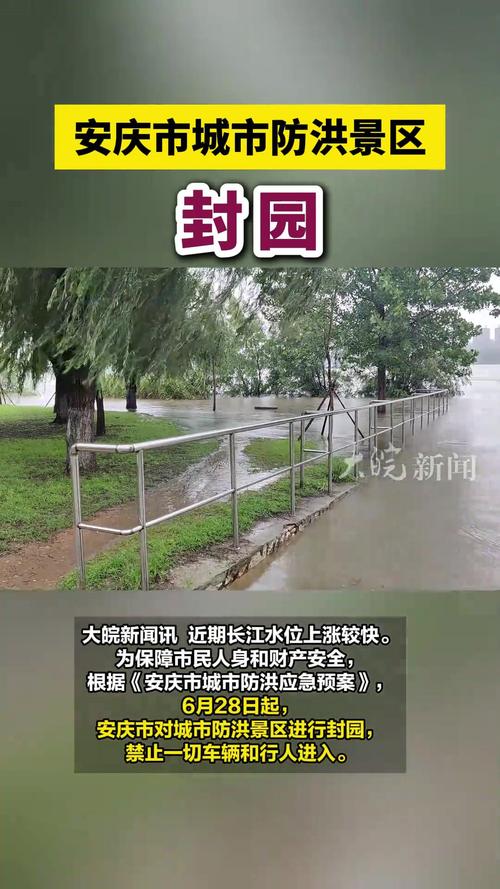 【安庆4号疫情,安庆新型肺炎疫情疑似病例】-第4张图片 【安庆4号疫情,安庆新型肺炎疫情疑似病例】-第4张图片