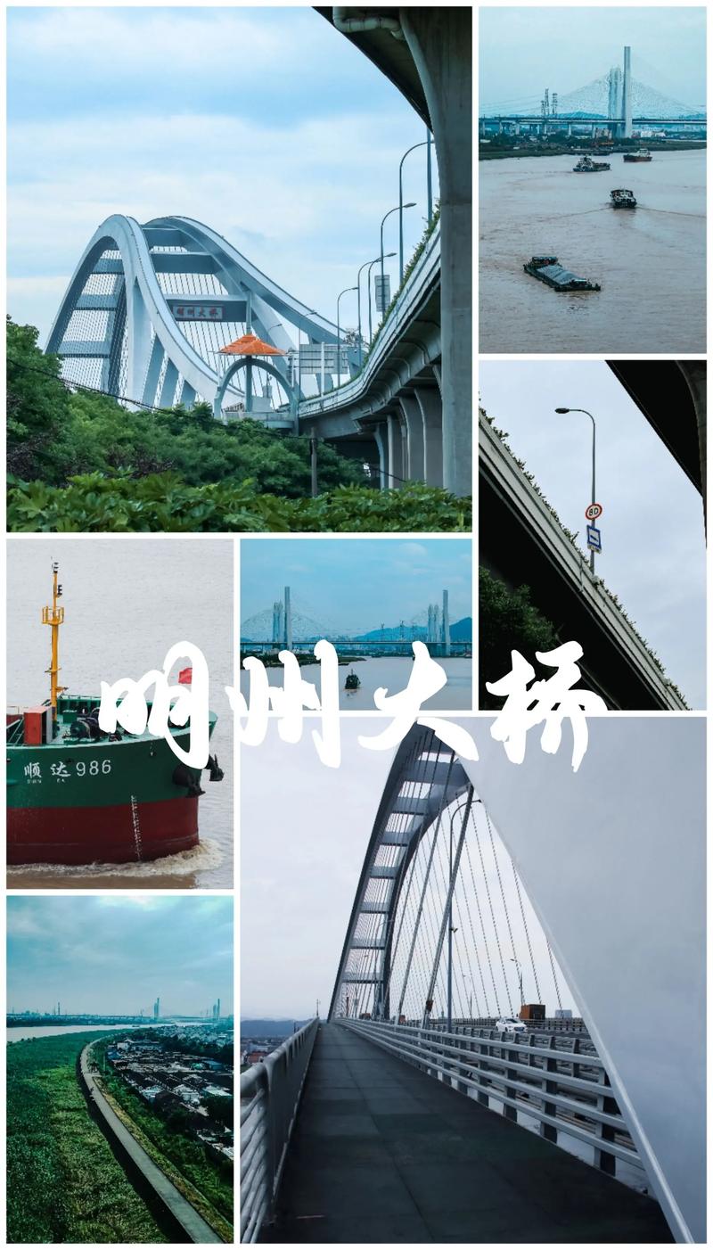 宁波明州大桥限行(宁波明州大桥净空高度)-第5张图片 宁波明州大桥限行(宁波明州大桥净空高度)-第5张图片