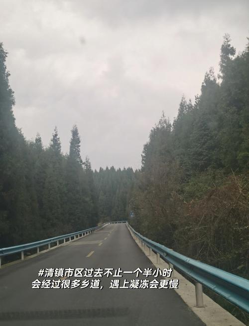 安顺疫情政策-安顺防疫最新报道-第3张图片