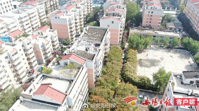 【安阳疫情小区,安阳哪个小区封了】-第5张图片