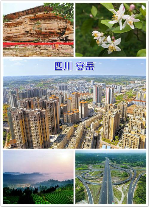 安岳疫情网/安岳县疫情公告-第7张图片