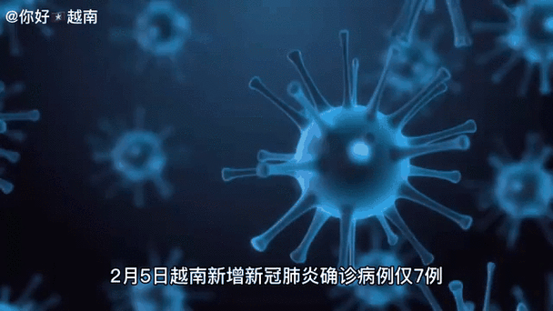 越南新冠疫情-越南新冠疫情最新数据-第3张图片