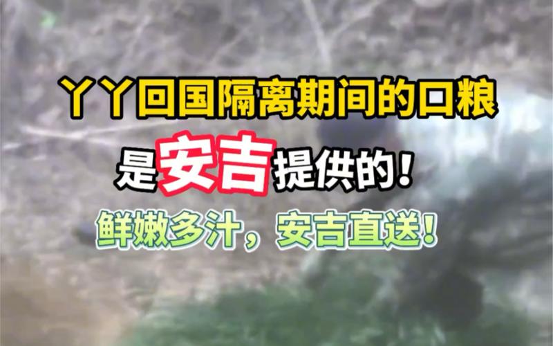 安吉疫情旅客/安吉疫情旅客隔离政策-第4张图片